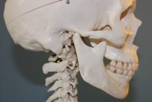 artritis reumatoide y declive de hueso mandibular